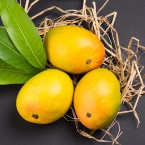 Alphonso Mango